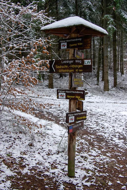 Naturfreundehaus Rahnenhof Carlsberg Экстерьер фото